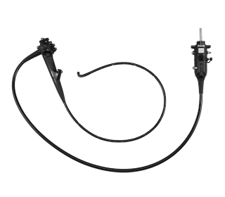 胃内視鏡検査（胃カメラ）